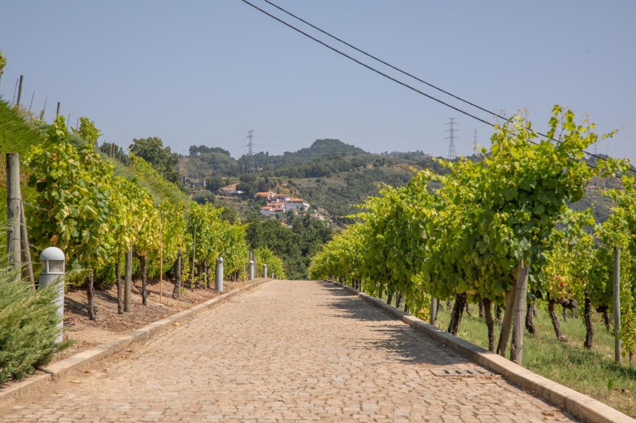 Quinta Da Granja Apartment Baiao Exterior photo